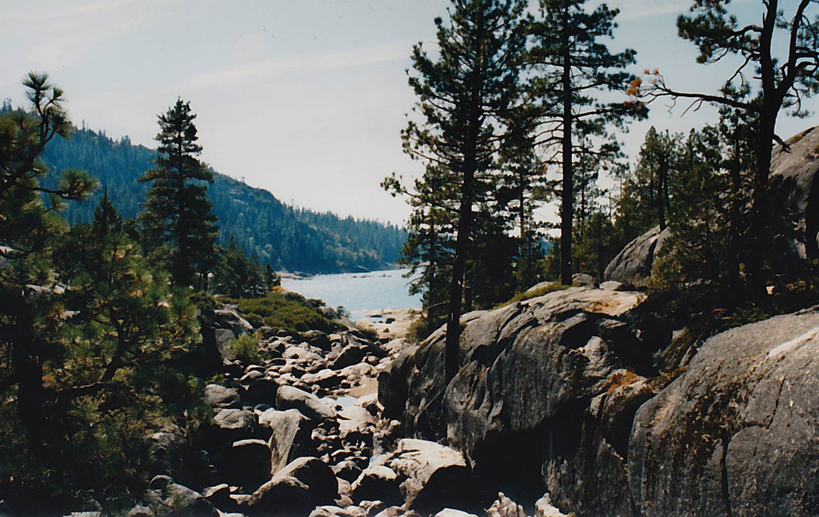 Camper-submitted photo at Pinecrest Campground near Coleville, CA