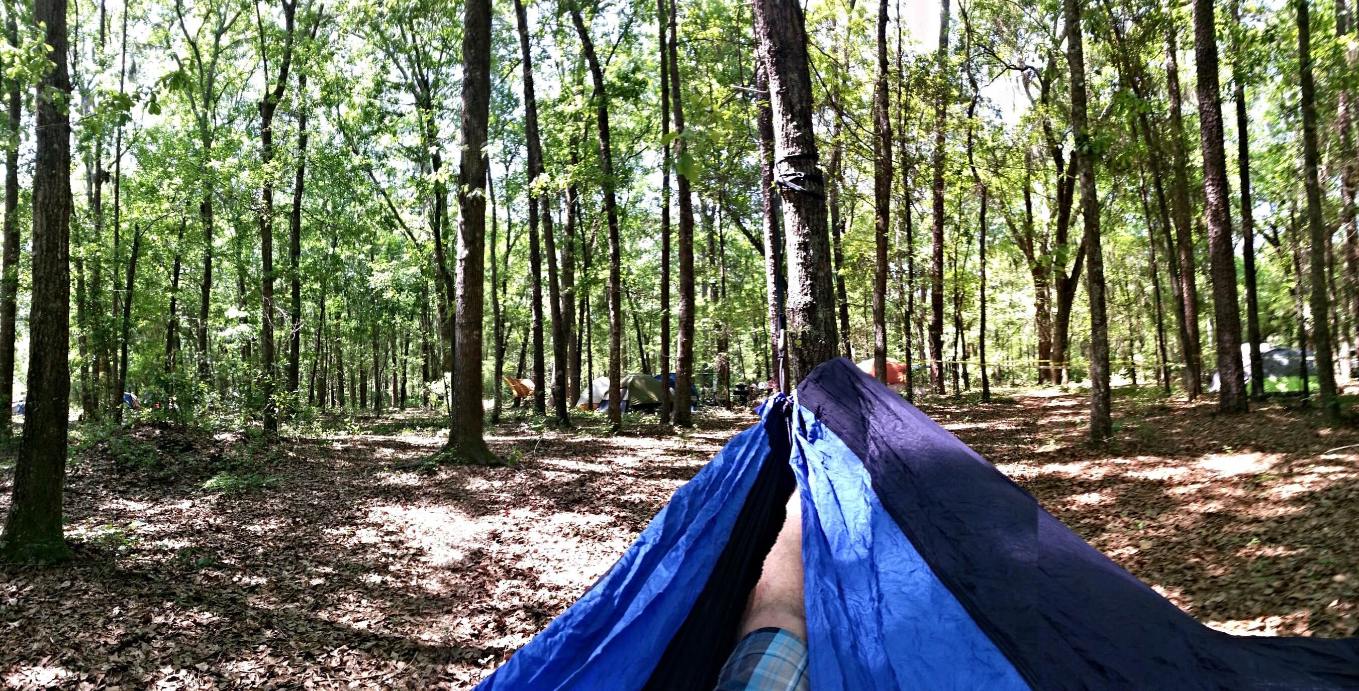 Camper submitted image from Spirit of the Suwannee Music Park & Campground - 4