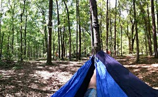 Bruce H.'s photo at Spirit of the Suwannee Music Park & Campground near Suwannee, FL