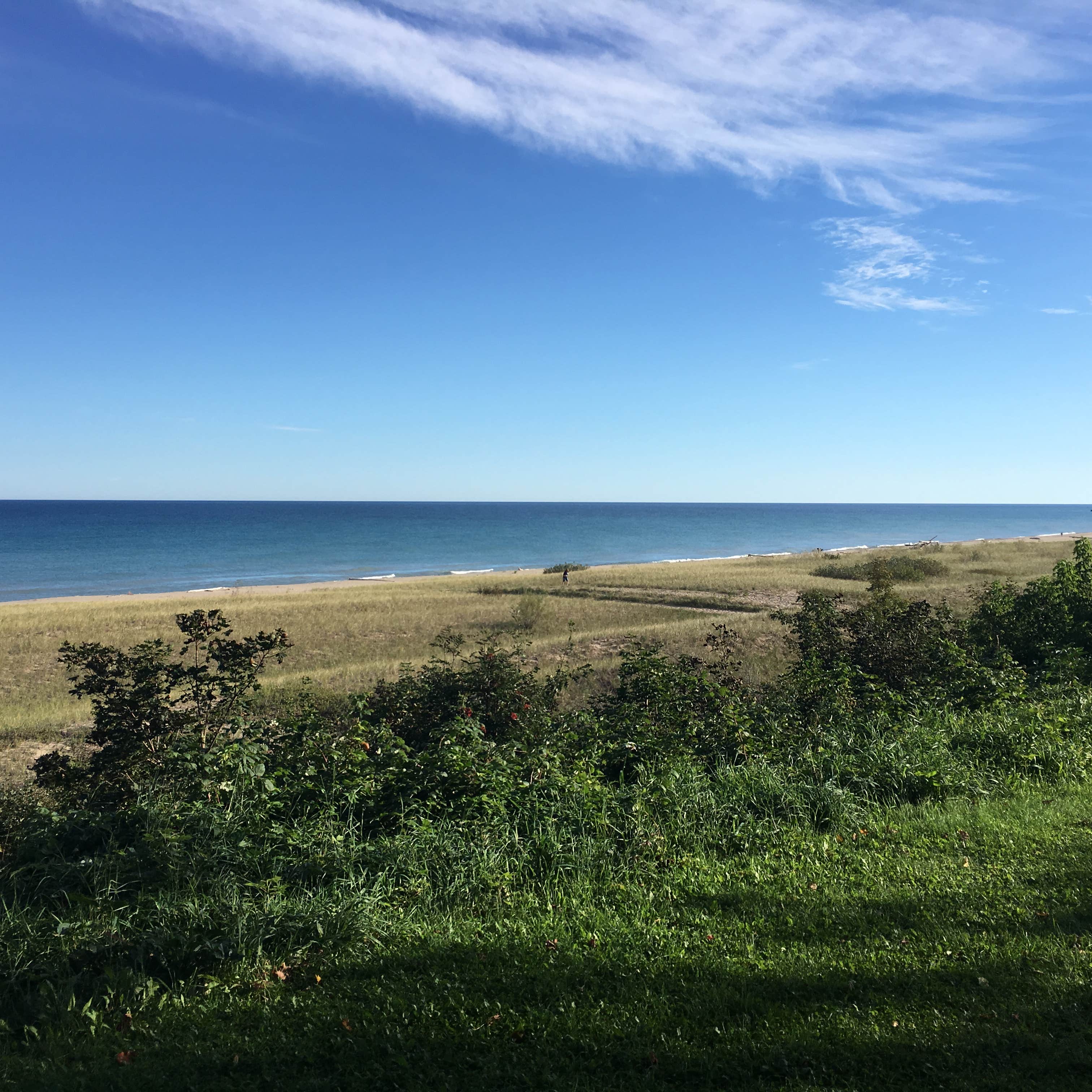 Woodland Park Campground Camping The Dyrt