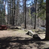 Review photo of Ladybug Campground by Rod C., March 25, 2024