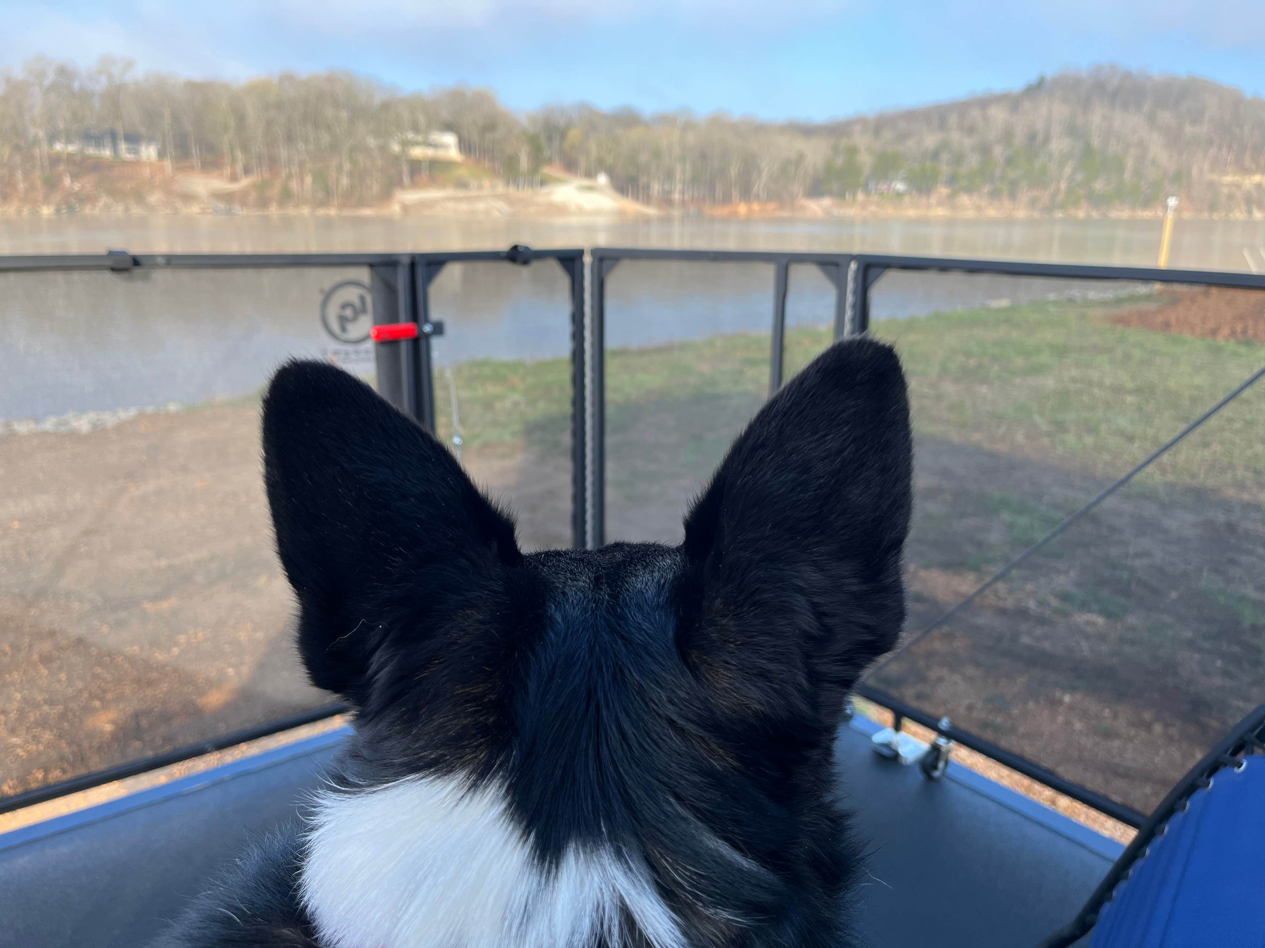 Camping near Beechview Recreational Area: Quiet River Camping, Bath Springs, Tennessee