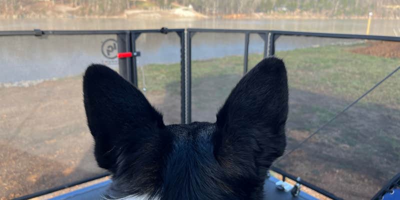 Camper submitted image from Quiet River Camping