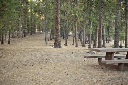 Camper submitted image from South Twin Lake Campground - 5