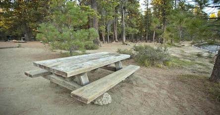 Camper-submitted Photos Of South Twin Lake Campground