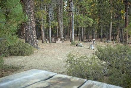 Camper submitted image from South Twin Lake Campground - 2