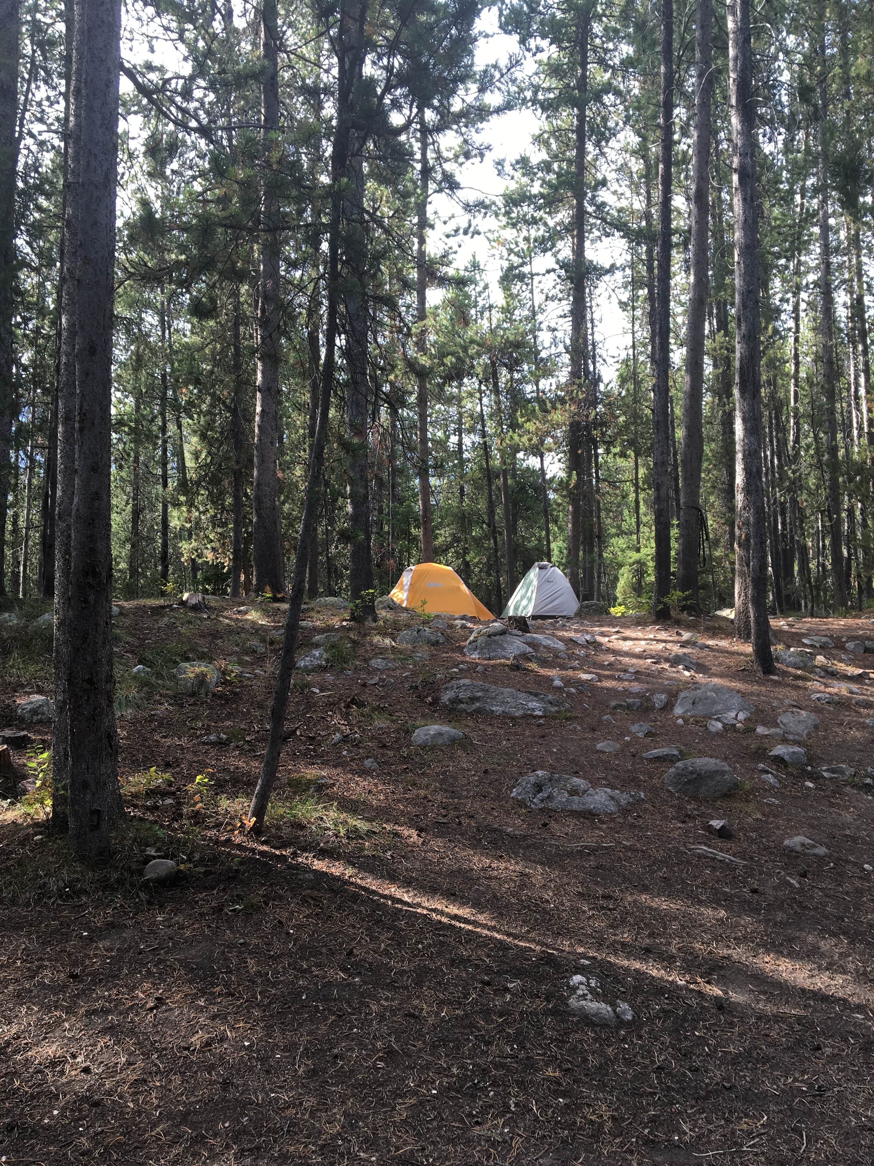 Ean W.'s photo of tent camping at Jenny Lake Campground — Grand Teton National Park near Grand Teton National Park