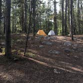 Review photo of Jenny Lake Campground — Grand Teton National Park by Ean W., September 10, 2016