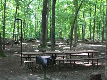 Campsite with Picnic Tables



Campsite with picnic tables, lantern holder and grill

Credit: NPS Photo