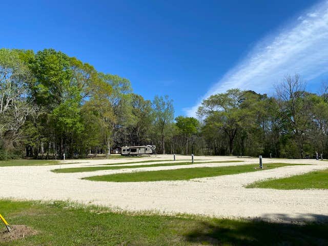 Camper-submitted photo at Nestled Pines RV Park LLC near San Augustine, TX
