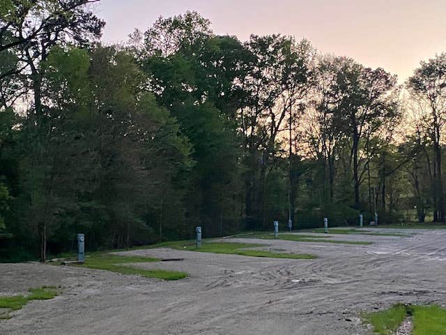 Camper-submitted photo at Nestled Pines RV Park LLC near San Augustine, TX