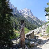 Review photo of Jenny Lake Campground — Grand Teton National Park by Ean W., September 10, 2016