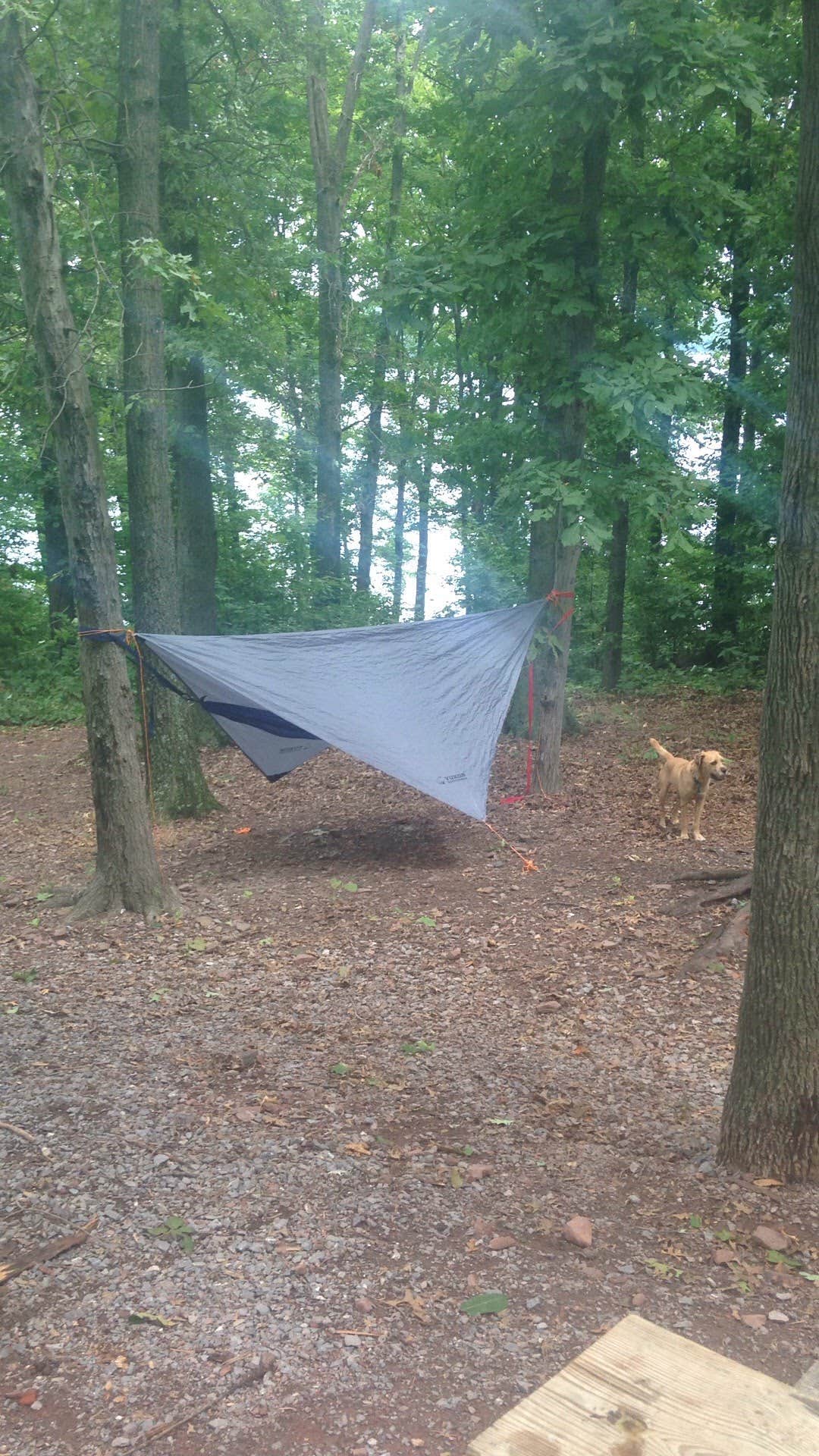 Camper-submitted photo at Susquehannock near Saxton, PA