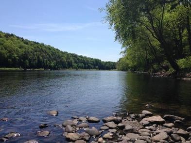 Camper submitted image from Alosa Boat In Campsites — Delaware Water Gap National Recreation Area - 3