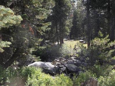 Camper submitted image from Wrights Lake Equestrian Campground - 2