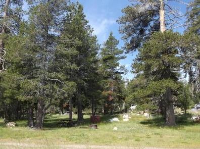 Camper submitted image from Wrights Lake Equestrian Campground - 1
