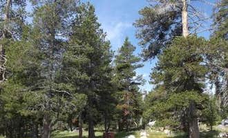 Camping near Wrights Lake Campground: Wrights Lake Equestrian Campground, Kyburz, California