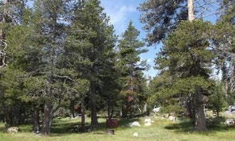 Camping near Sierra Inn at Tahoe: Wrights Lake Equestrian Campground, Kyburz, California