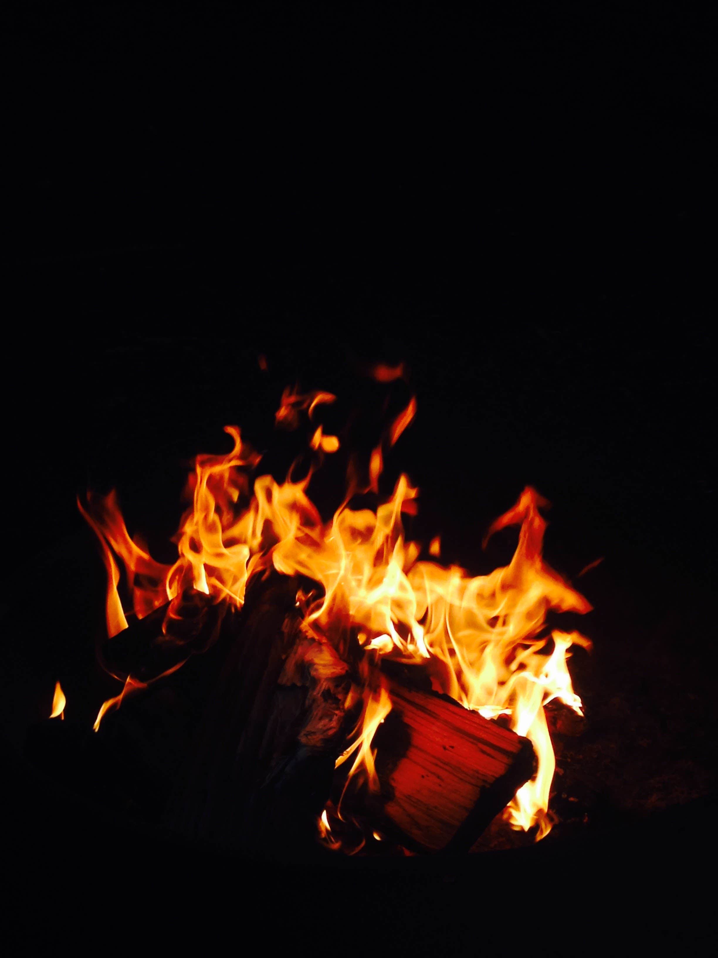 Camper submitted image from Ricketts Glen State Park Campground - 3