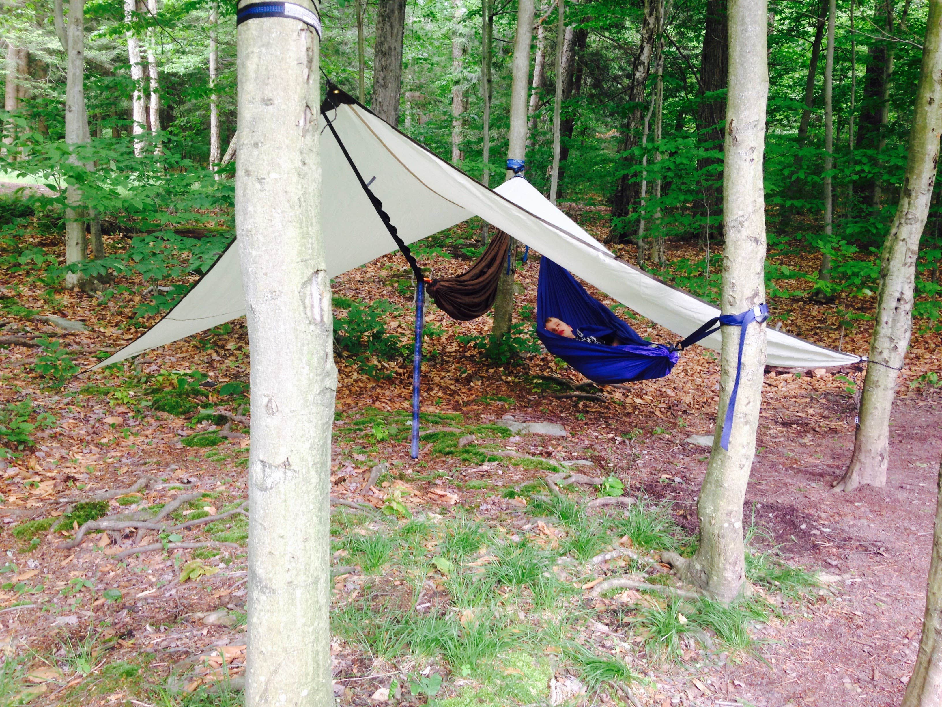 Camper submitted image from Ricketts Glen State Park Campground - 4