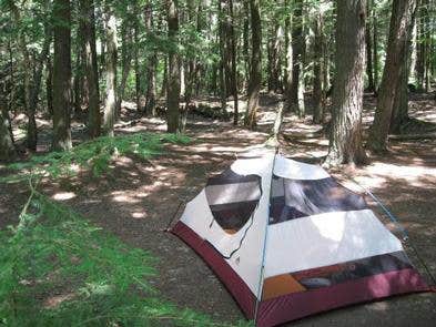 The Dyrt's photo of tent camping at Gamefence Campsite - Grand Island near Nahma, MI