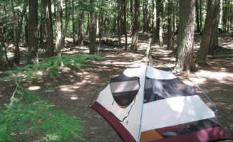 The Dyrt's photo at Gamefence Campsite - Grand Island near Au Train, MI