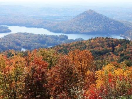 Camper submitted image from Chilhowee Recreation Area - 1