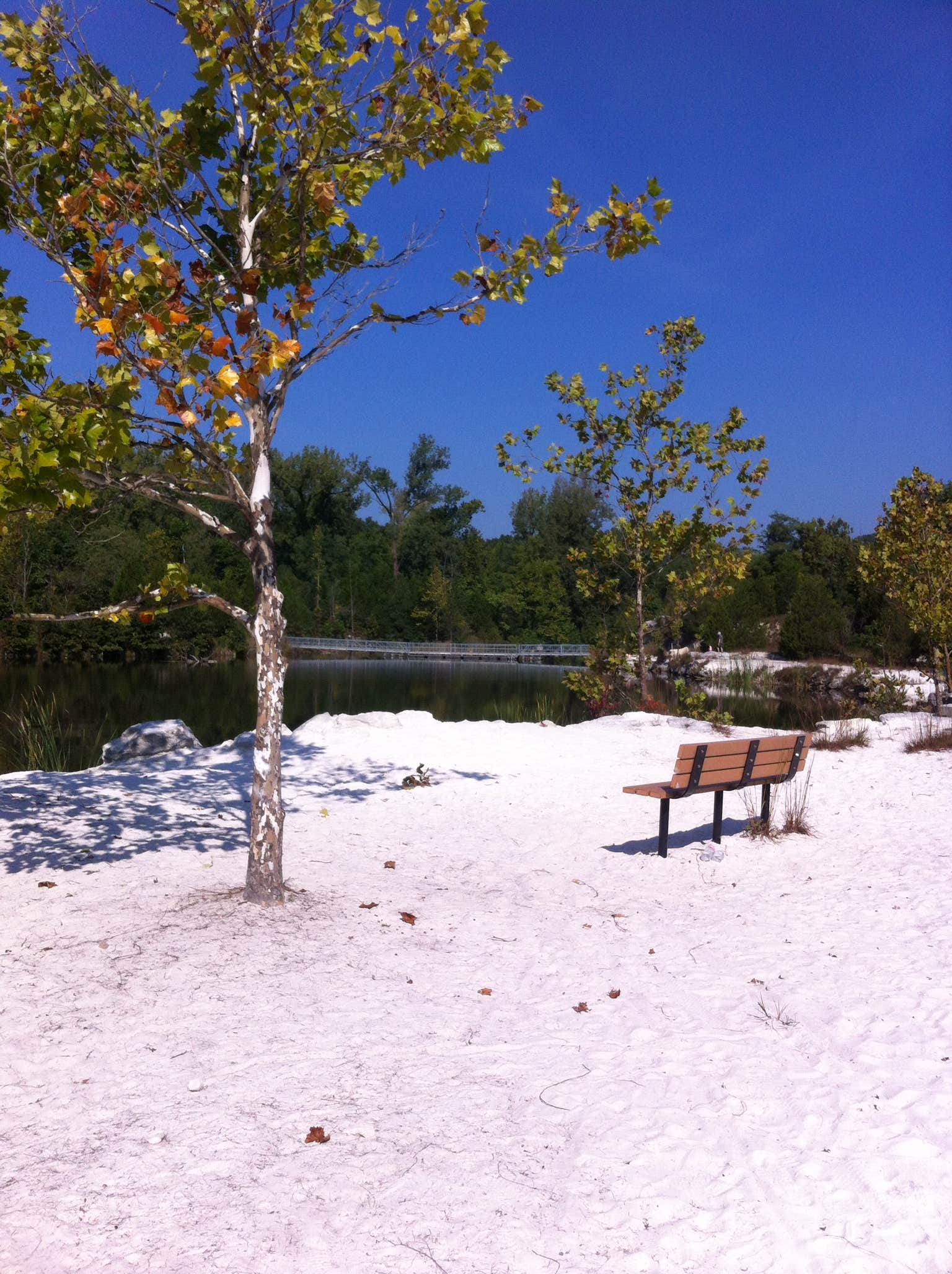 Camper submitted image from Klondike Park - 3