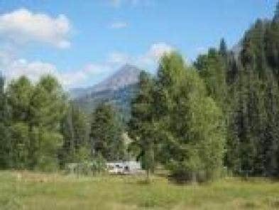 Camper submitted image from San Juan National Forest Williams Creek Campground - 3