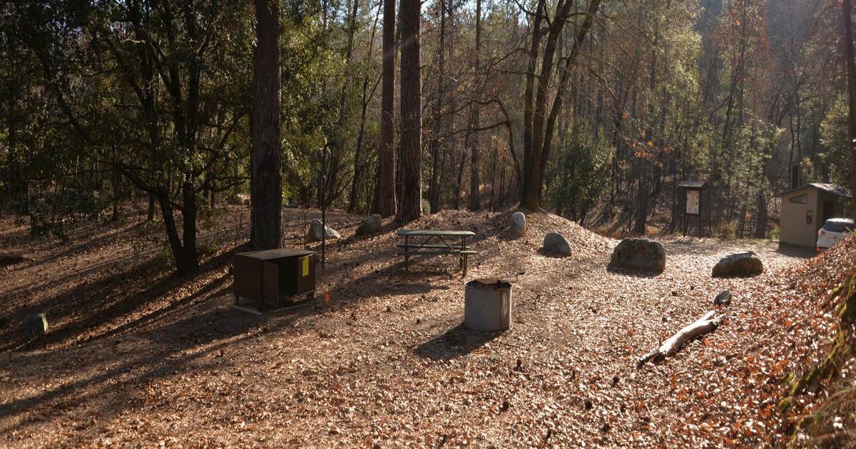 Brandy Creek Primitive Campground — WhiskeytownShastaTrinity National