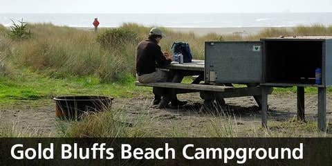 Camper-submitted photo at Gold Bluffs Beach Campground — Prairie Creek Redwoods State Park near Klamath, CA