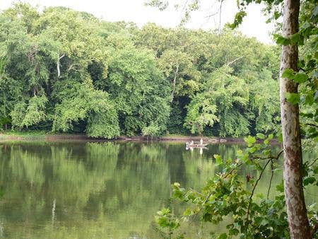 Camper submitted image from Antietam Creek Campground — Chesapeake and Ohio Canal National Historical Park - 3