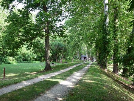 Camper submitted image from Antietam Creek Campground — Chesapeake and Ohio Canal National Historical Park - 3