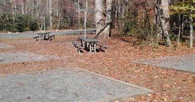 Anchor Down RV Resort photo 5