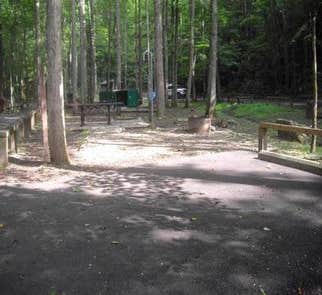 Camper-submitted photo from Cumberland Mountain State Park Campground