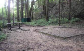 Camping near Sutton Camping & Cabin Rentals: Rock Creek Campground — Obed Wild and Scenic River, Lancing, Tennessee