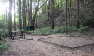 Camping near Freedom Hills Campground: Rock Creek Campground — Obed Wild and Scenic River, Lancing, Tennessee