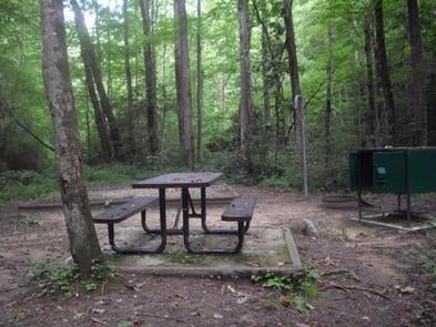 Camper submitted image from Rock Creek Campground — Obed Wild and Scenic River - 5