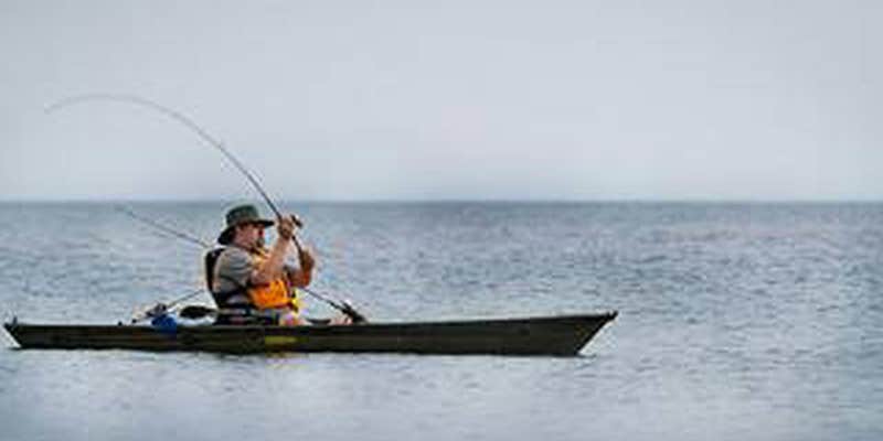 Camper submitted image from Dunewood Campground — Indiana Dunes National Park
