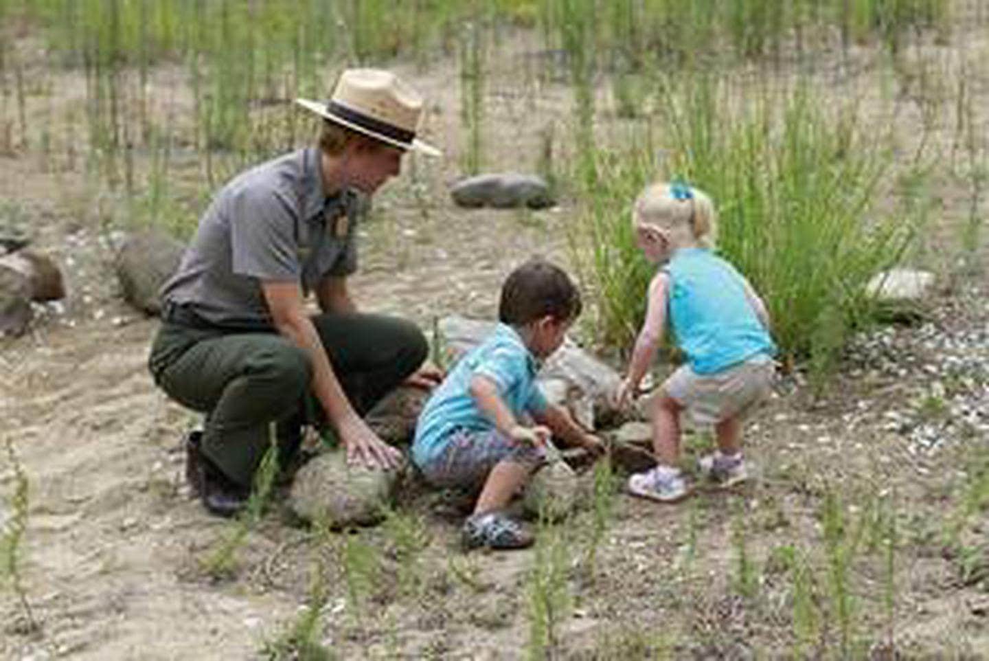 Dunewood Campground — Indiana Dunes National Park