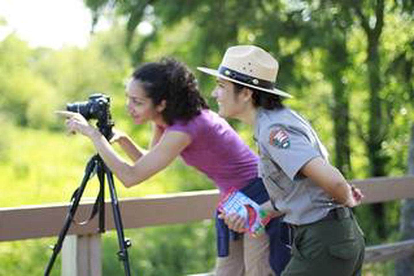 Dunewood Campground — Indiana Dunes National Park