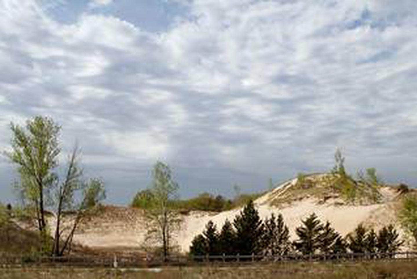 Camper-submitted photo at Dunewood Campground — Indiana Dunes National Park near Niles, MI