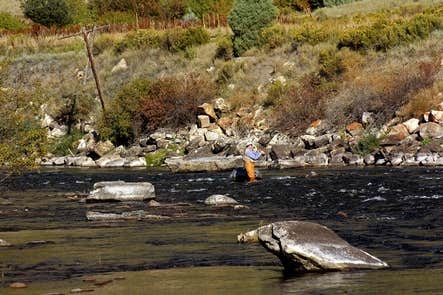 Camper-submitted photo at Wolcott Campground near Edwards, CO