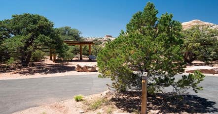 Island In The Sky (Willow Flat) Campground — Canyonlands National Park