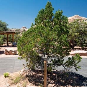 Island In The Sky (Willow Flat) Campground — Canyonlands National Park