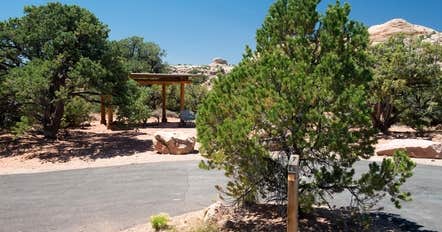 Island In The Sky (Willow Flat) Campground — Canyonlands National Park