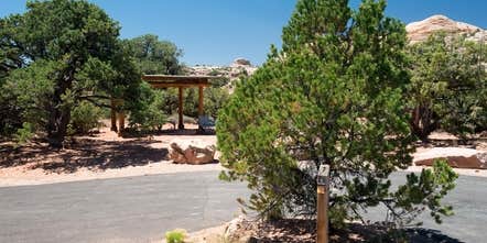 Camper submitted image from Island In The Sky (Willow Flat) Campground — Canyonlands National Park