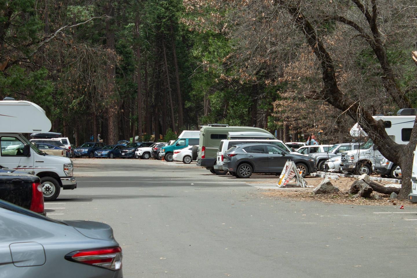 Camp 4 parking lot



This is a photo of the parking lot at Camp 4 campground

Credit: Yosemite National Park