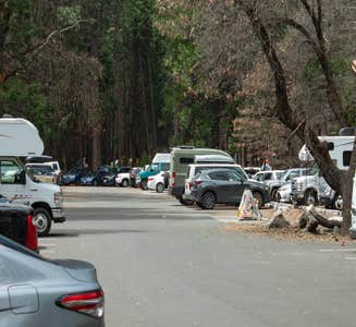 Camper-submitted photo from Wawona Campground — Yosemite National Park