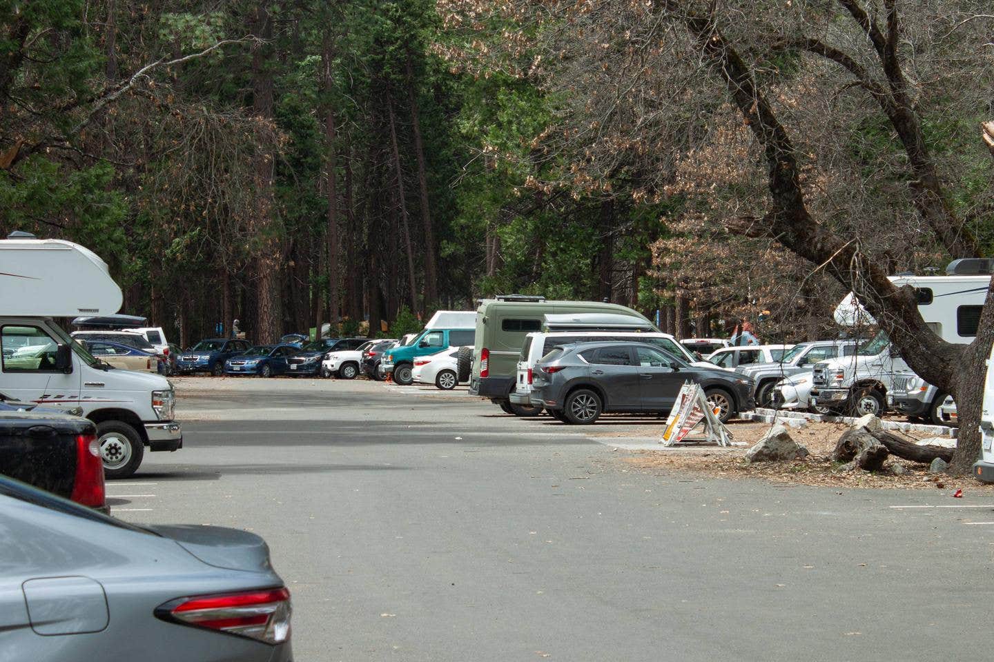 Camp 4 parking lot



This is a photo of the parking lot at Camp 4 campground

Credit: Yosemite National Park